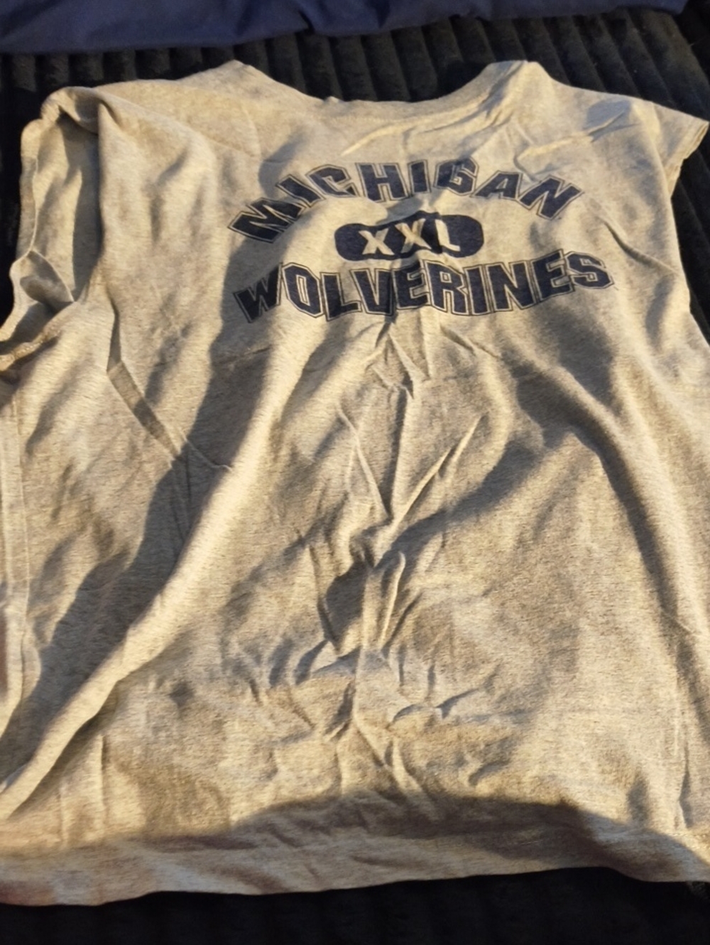 Michigan Wolverines Grey Graphic Tee